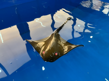 Load image into Gallery viewer, Radio Control Manta Ray (life-like in water) 2.4G