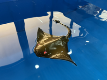 Load image into Gallery viewer, Radio Control Manta Ray (life-like in water) 2.4G