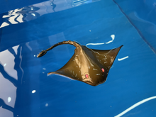 Load image into Gallery viewer, Radio Control Manta Ray (life-like in water) 2.4G