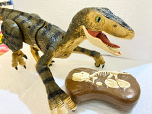 Load image into Gallery viewer, 2.4G RC Walking Dinosaur Blue Raptor / Tyrannosaur Remote Control Jurassic Dinosaur