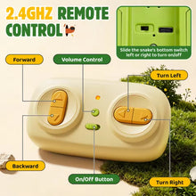 Load image into Gallery viewer, Remote Control  Magnetic Eating Snake