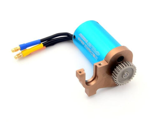 WL 2004 124017 Brushless Motor (1 pc)