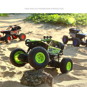 8211 RC Climbing Car Cross Country 1/20 scale