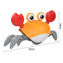 Load image into Gallery viewer, Induction Crab Toy
