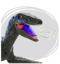 Load image into Gallery viewer, 2.4G RC Walking Dinosaur Blue Raptor / Tyrannosaur Remote Control Jurassic Dinosaur