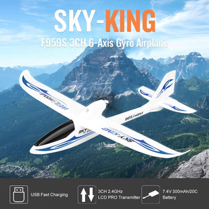 WLToys F959s RC Glider Sky King 3 Ch Ready to Fly (RTF) Airplane